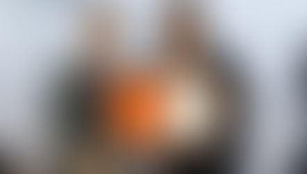 Dra. Laura Jiménez Ferretiz rinde protesta como directora de la FCAT-UAT