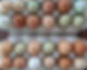 272070531_1391846224603652_7676537203757239893_n_edited.jpg