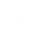 Jo'E Logo Signature