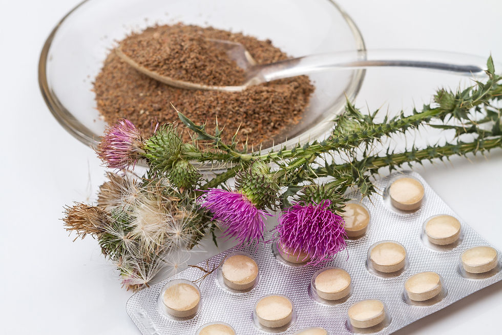 The Many Benefits of Milk Thistle