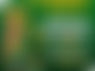 Meath Intercounty Training 2025/2026