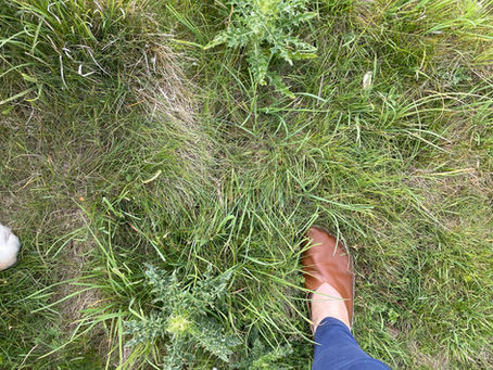 Guest Blog: Why I Love Earth Sole – A Review by Isabelle Brough, Author of Mindful Feet