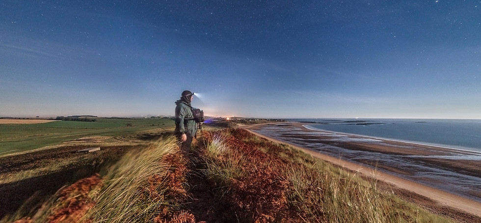 ME NIGHT-EMBLETON-PRINT (1 of 1).jpg