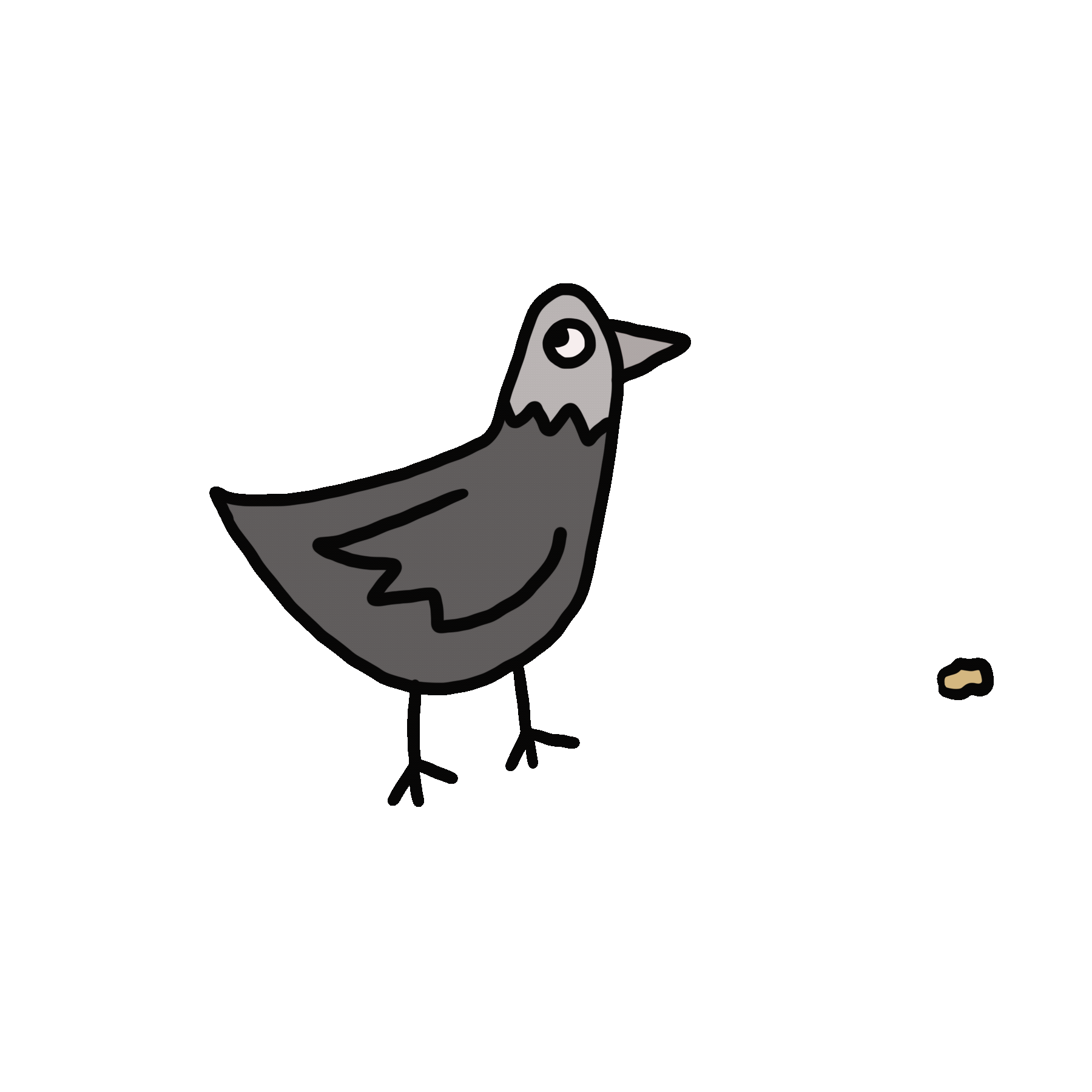 Pigeon.gif