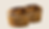 Chocolate Chip