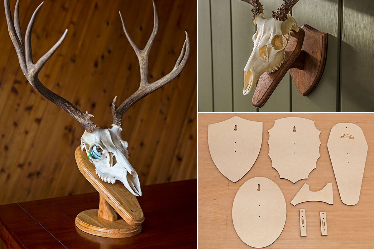 Template For DIY Deer Skull Mount Plaque