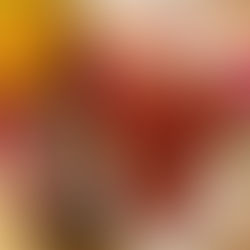 Une bière artisanale à la prune brassée à Cheval Blanc dans le Vaucluse par la brasserie Les Ouailles du Luberon.