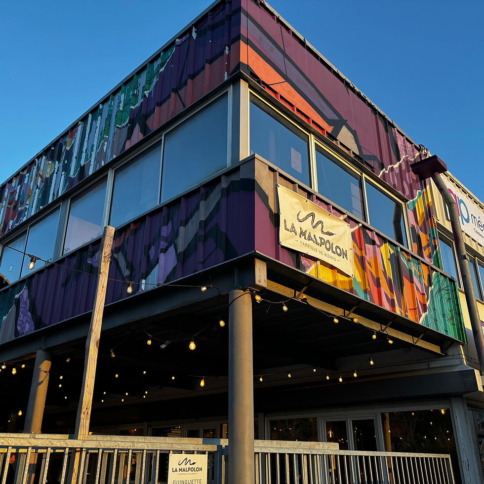 La brasserie artisanale La Malpolon, installée à Lavérune dans l'Herault depuis 2019, a ouvert sa guinguette il y a trois ans. On peut déguster sur place et à la pression les bières du moment et la gamme permanente.