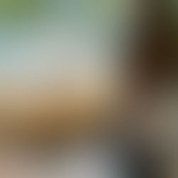 LA CUVÉE BABY BRUNE, PAR LA DÉJANTÉE (PERNES-LES-FONTAINES)