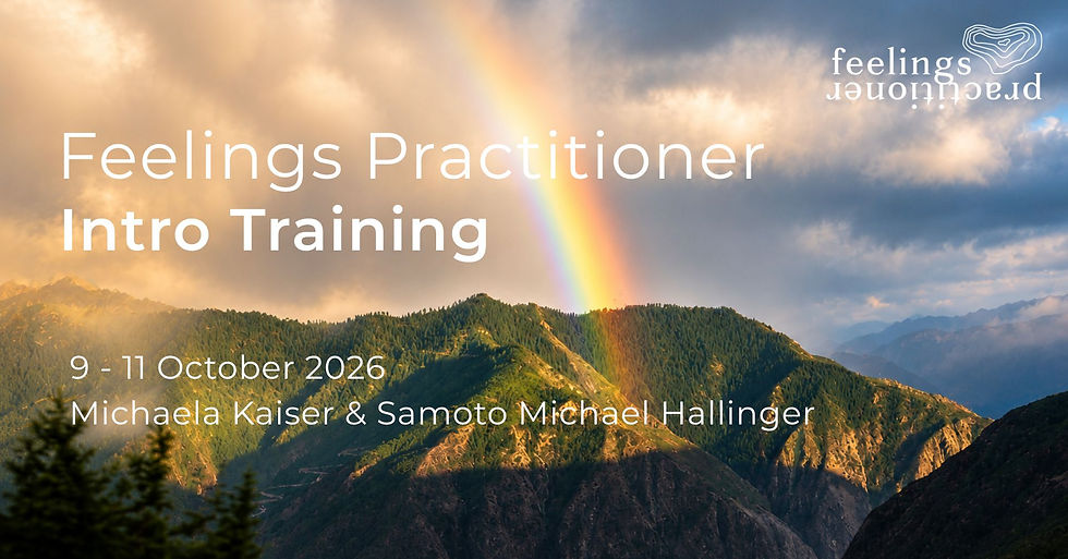 Feelings Practitioner Intro Training (3 days)