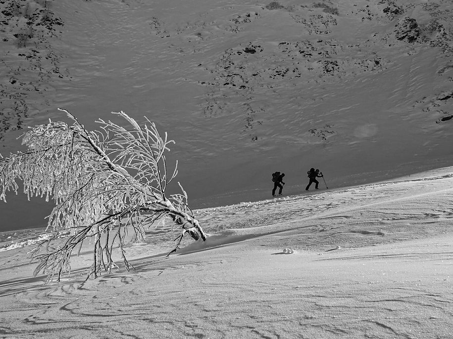 WhatsApp Image 2020-01-20 at 07.39.53.jpeg