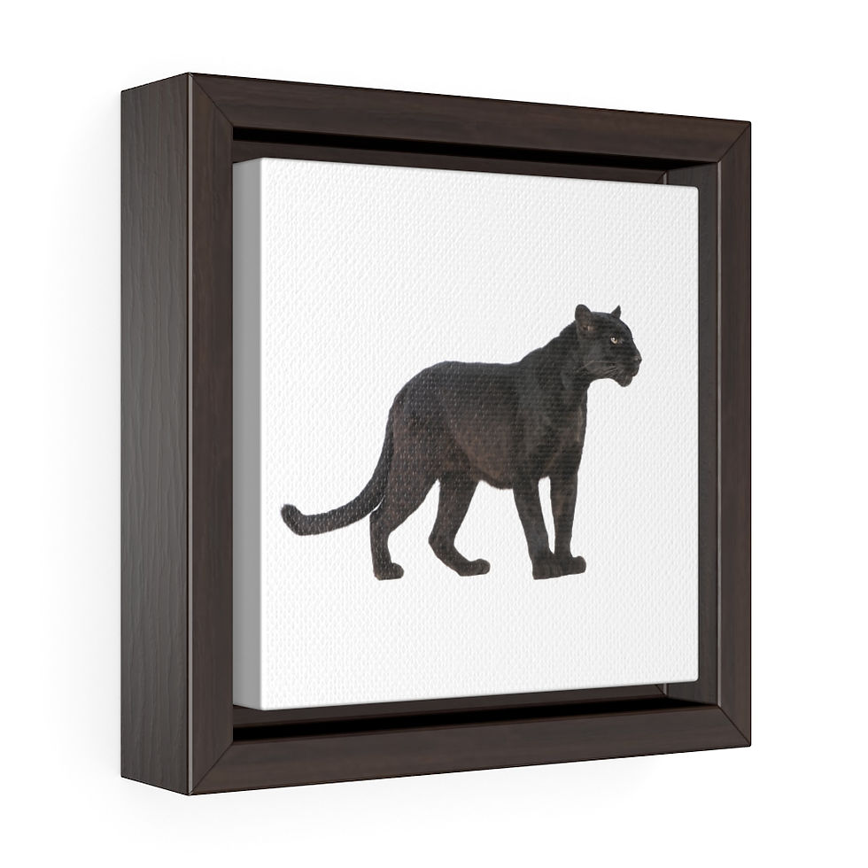 Black Panther Square Framed Premium Gallery Wrap Canvas