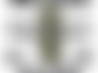 Drone Photogrammetry Tutorial