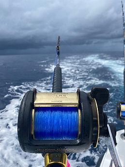 WhatsApp Image 2025-09-08 at 11.56.04 PM (2).jpeg