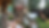 73815D8C-6521-478F-9F62-409796AA737A.png