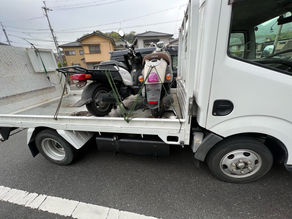 先日、引き取り 徳島市と鳴門市