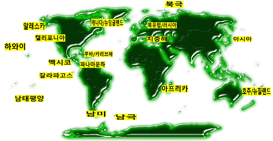 world-map cruise.png