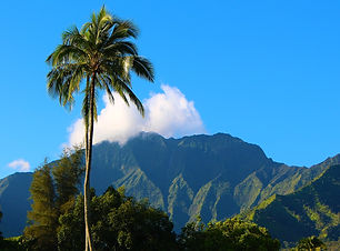 미서부 하와이.jpg