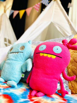 Beautiful Creatures Sleepover Theme