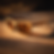 Thumbnail: Ahimsa
