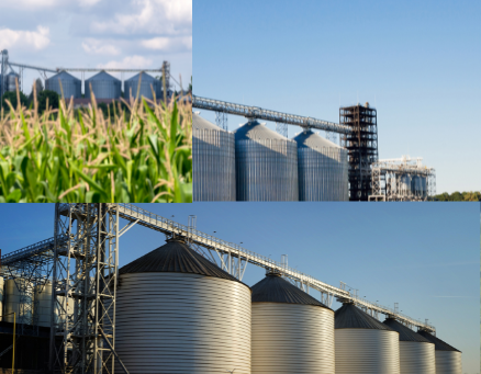 Argentina y Rusia ante el oligopolio transnacional del comercio de cereales y oleaginosas 