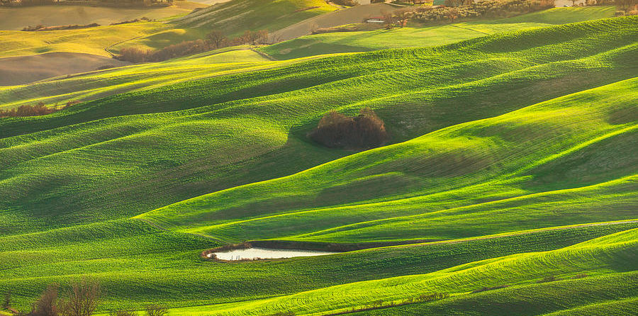 1-tuscany-panorama-rolling-hills-trees-and-green-fields-italy-stevanzz-photography.jpg