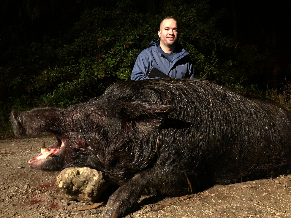 Thumbnail: Florida Hog Hunting