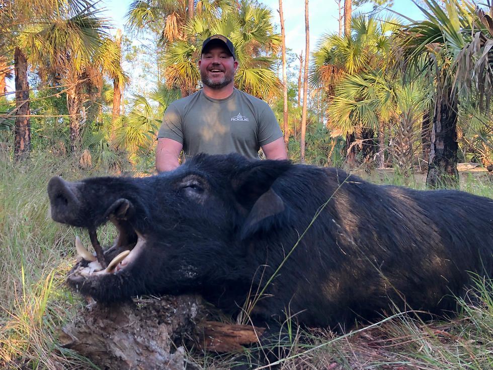Thumbnail: Florida Hog Hunting