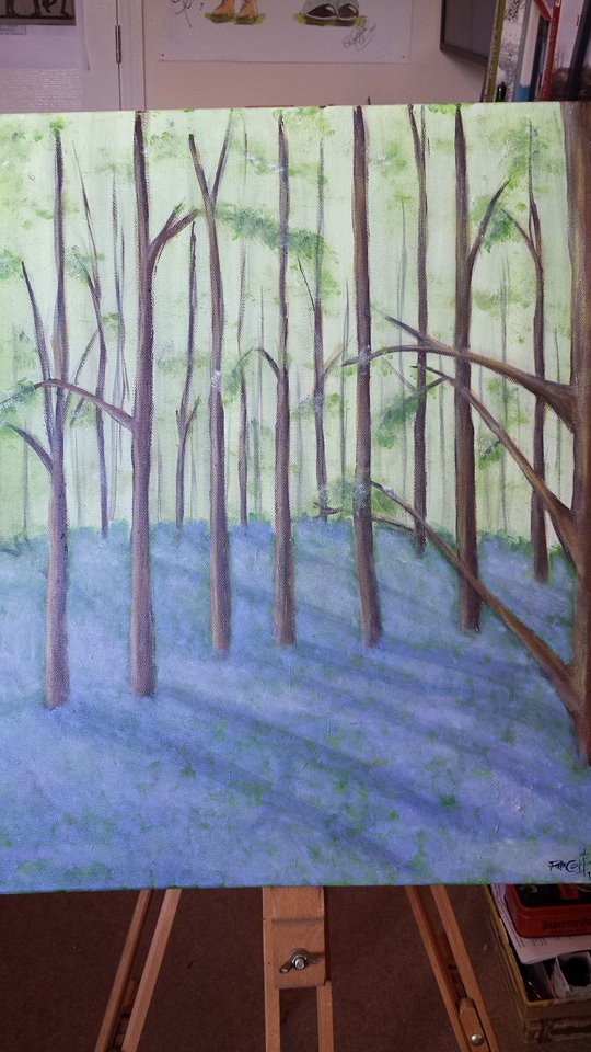 Background for photo in studio
