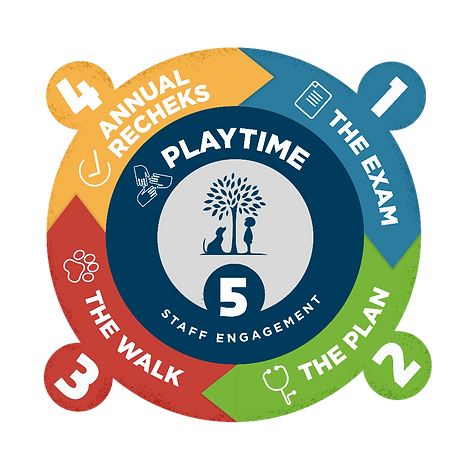 icon showing 1st four programs (exam, plan, walk, and rechecks) are underpinned by staff engagement -- all are key to success of sustainability programs in vet hospitals