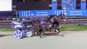 Lazarus 2YOs shine in both hemispheres