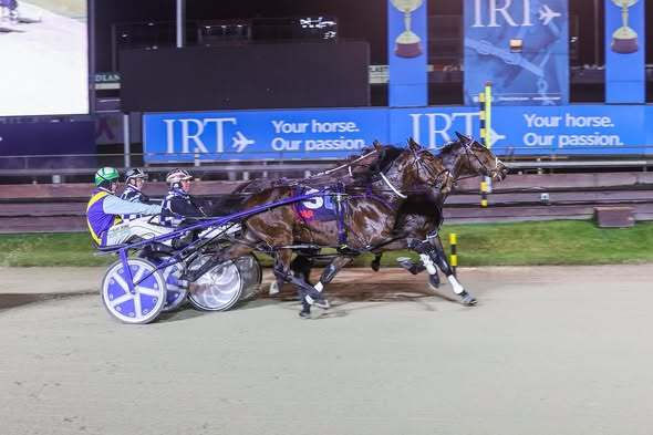 Lazarus 2YOs shine in both hemispheres