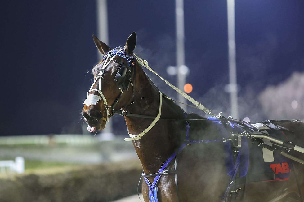 Joey Arden (Race Images)