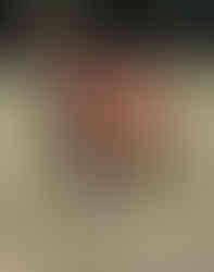 Downbytheseaside L'oiseauDeNuit