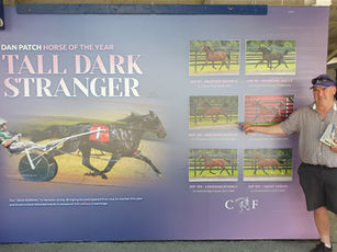 First Season Sires On Offer