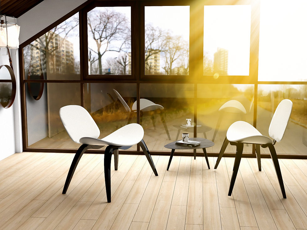 TURTLE Chair White Edititon