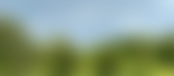 "What the H*ll are you doing?"