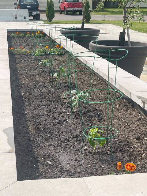 5.23.2023 Garden with Supports.jpg