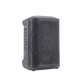 * Power: 120W
* 8" Woofer + 2.75" Tweeter*3
* Battery: 12.8V/6Ah (Lifepo4)
* Usb Input, Line In/Out, Otg/Live Input 
* Bluetooth, Fm, Mic Input,Guitar Input
* Microphone Priority,Recording
* Master Volume Control
* Ch1 Control Music Vol/Treble/Bass
* Ch2 Control Mic Vol, Wireless Mic Vol,Mic Treble/Bass/Reverb/Echo
* Ch3 Control Musical Instrument Vol, Treble/Midrange/Bass/Reverb/Delay.