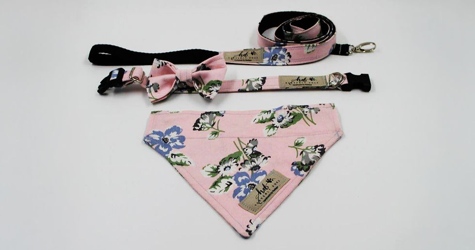 Pink floral Collar, Bowtie & Bandana