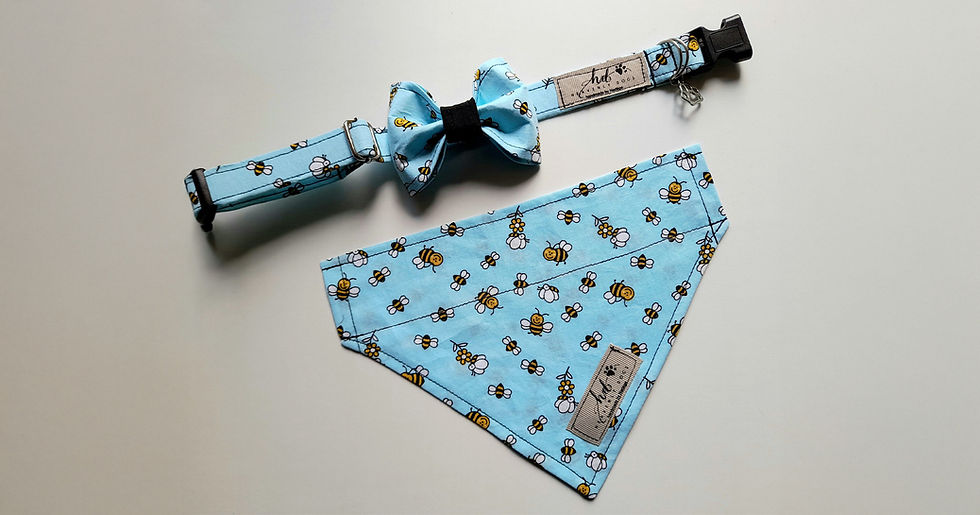 Baby Blue Bees Collar, Bowtie & Bandana