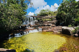 cascada-caño-cristales.jpeg