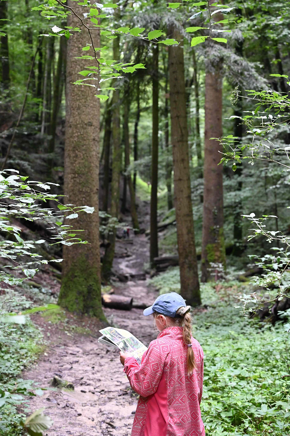 A girl in a pink jacket and cap reads a map on a forest trail. The scene is lush, with tall trees and greenery, creating a serene mood.