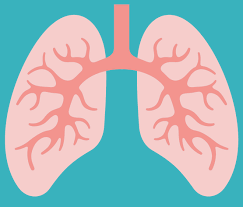What is Tuberculosis?
