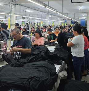 media_20250115_115819_132742162028392432