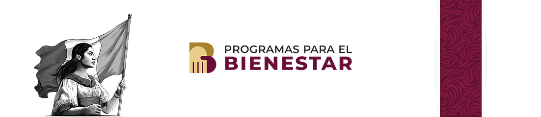 header-sintexturaysinpleca.png