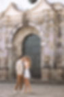 _LLV1447.jpg