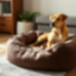 Cama de pet, em uma sala aconchegante, vista de perspectiva lateral.jpg