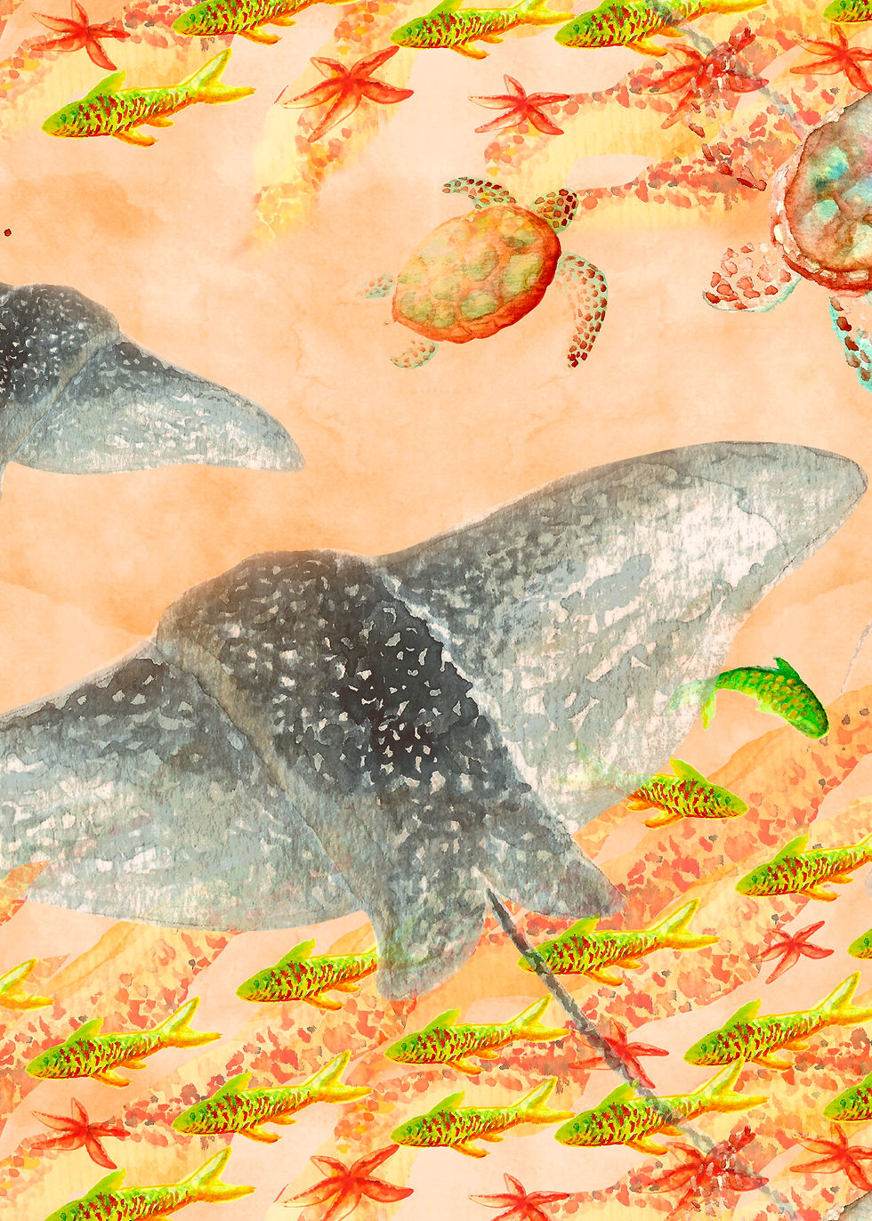 Estampa fauna marinha