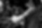 fg__0001__MG_5995.jpg